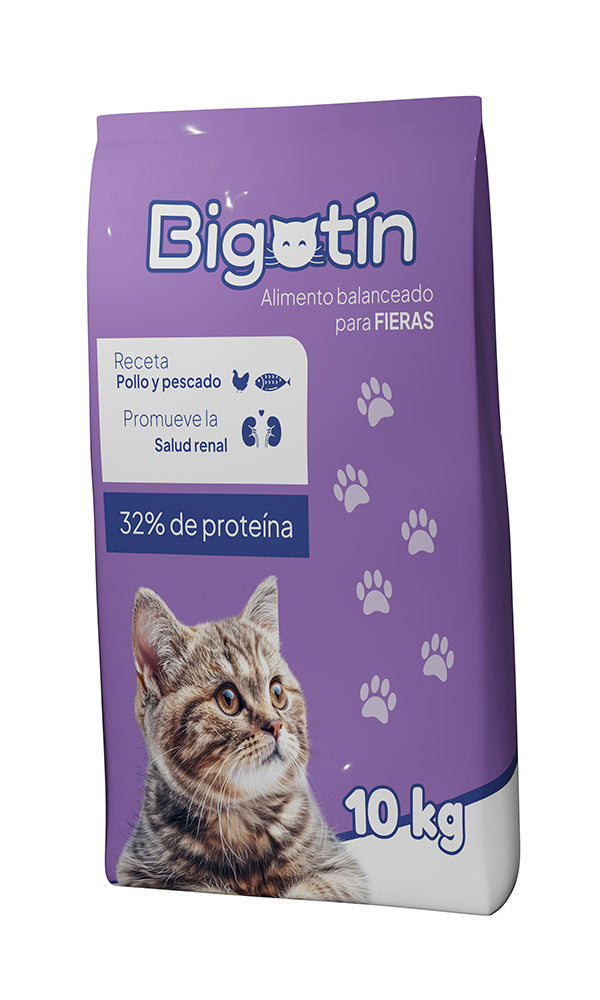 BIGOTÍN